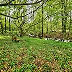 Apartment Selker Noor - 1,4 Ha Naturpark, Privater Terrasse, Bachlauf An Der Selker Wassermuehle *