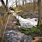 Selker Noor - 1,4 Ha Naturpark, Privater Terrasse, Bachlauf An Der Selker Wassermuehle * 石勒苏益格