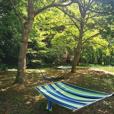 Selker Noor Apartments - 1,4 Ha Naturpark, Privater Terrasse, Bachlauf An Der Selker Wassermuehle شلسفيغ