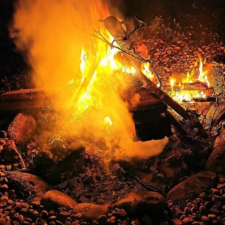 Selker Noor Apartments - 1,4 Ha Naturpark, Privater Terrasse, Bachlauf An Der Selker Wassermuehle شقة شلسفيغ