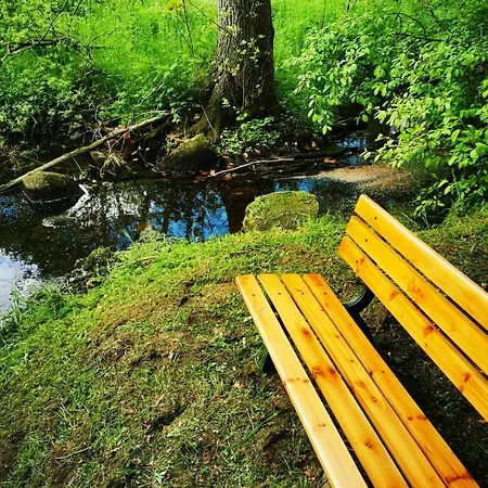 Selker Noor Apartments - 1,4 Ha Naturpark, Privater Terrasse, Bachlauf An Der Selker Wassermuehle * شلسفيغ