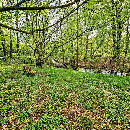 Apartament Selker Noor - 1,4 Ha Naturpark, Privater Terrasse, Bachlauf An Der Selker Wassermuehle *
