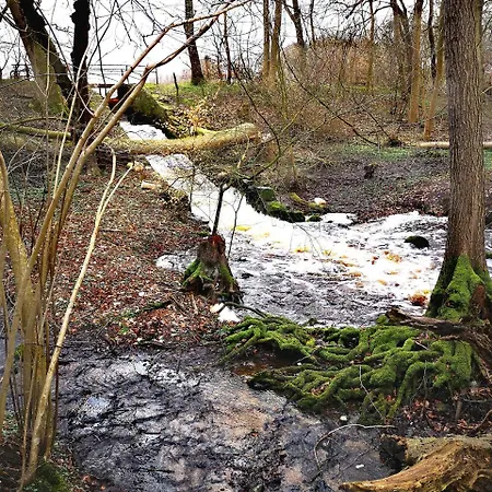 Selker Noor Apartments - 1,4 Ha Naturpark, Privater Terrasse, Bachlauf An Der Selker Wassermuehle * شلسفيغ