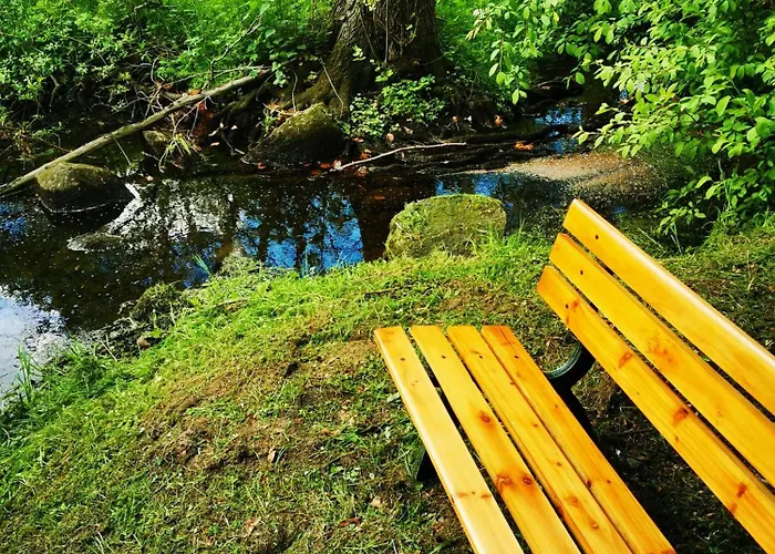 Selker Noor - 1,4 Ha Naturpark, Privater Terrasse, Bachlauf An Der Selker Wassermuehle * Šlesvik