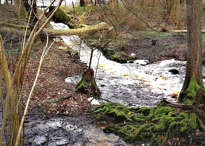 Selker Noor - 1,4 Ha Naturpark, Privater Terrasse, Bachlauf An Der Selker Wassermuehle * Šlesvik